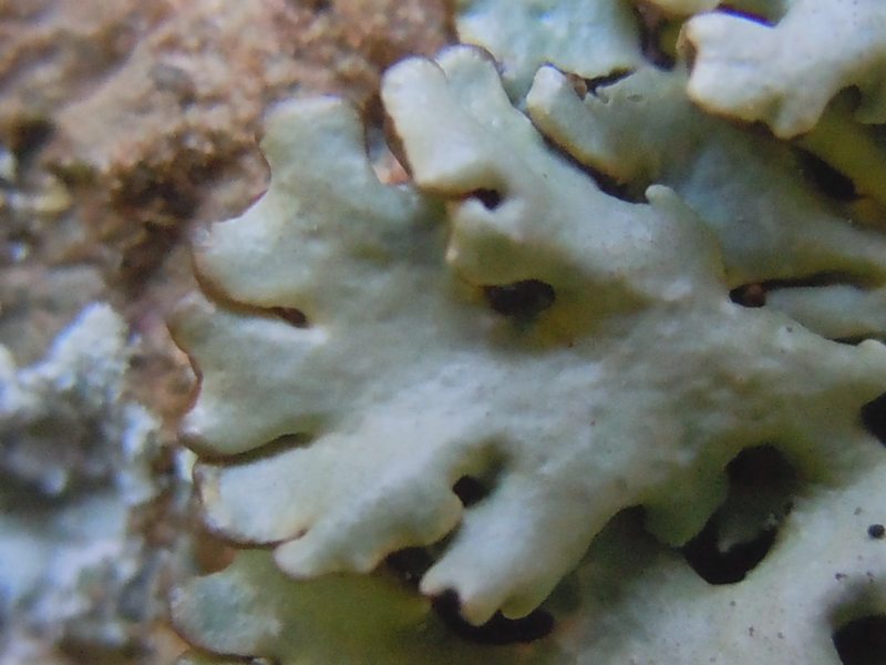 ...dalla Gallura 1